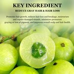 Hair Shampoo Set Manufacturer - Herbals Amla Natural Anti-hair Loss Strengthening Nourishing Growth