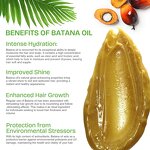 Hair Mask Manufacturer - Rosemary Batana Oil Repair Smoothing Anti-Hair Loss Growth Boost Moisturizing & Customizable