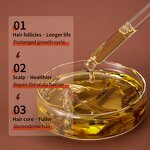 Hair Growth Oil Manufacturer - 100% Pure Organic Refined Rosemary Castor Oil 2 in 1 60ml for Hair-loss Prevention