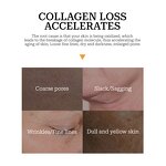 Face Moisturizer Manufacturer - Retinol Collagen Anti Aging Anti Wrinkle Firming with Vitamin C+E for All Skin Types