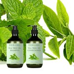 Hair Growth Shampoo Manufacturer - 500ml Tea Tree Oil Biotin Anti-Dandruff Rosemary for Lice Scalp Care