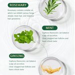 Hair Growth Oil Manufacturer - Rosemary Mint Scalp Care Natural Hot Oil Treatment Massage