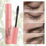 Eyelash Growth Serum Manufacturer - with Castor Oil Hyaluronic Acid for Hair Growth Eyebrows & Low Price Wholesale