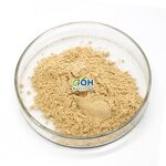 Neutral Protease Powder Manufacturer - 50000 U/g Food Grade High Quality CAS:9068-59-1