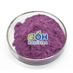 Blueberry Fruit Powder Manufacturer - Spray Dried/Freeze Dried OEM Private Label GOH