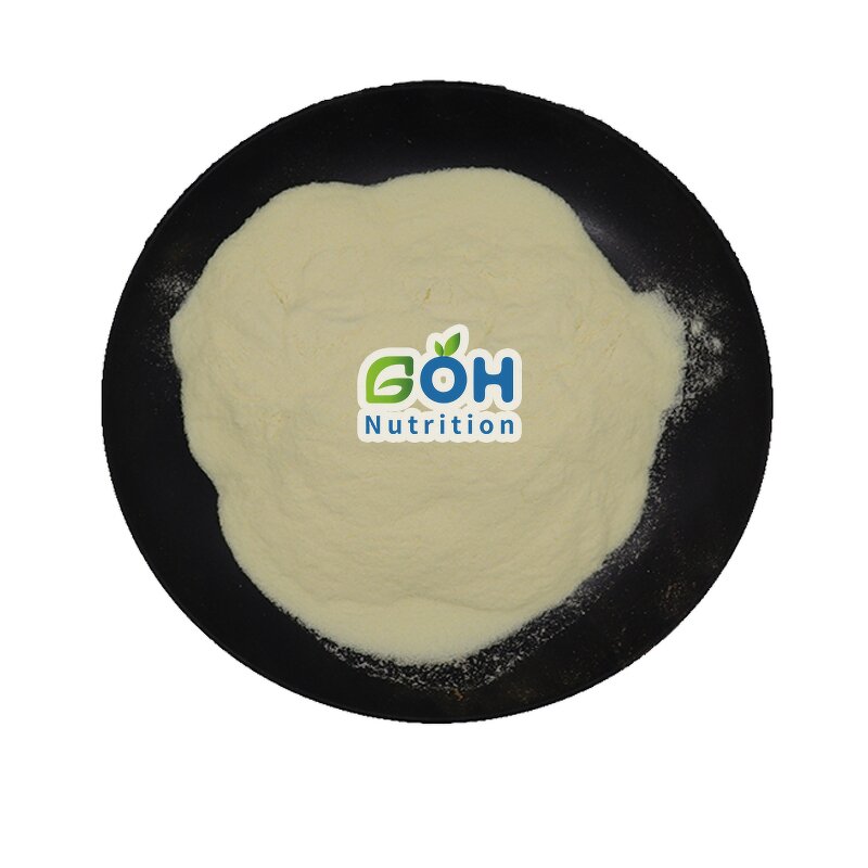 Alkaline Protease Powder Manufacturer - ≥200000 U/g High Quality Food Grade Enzyme