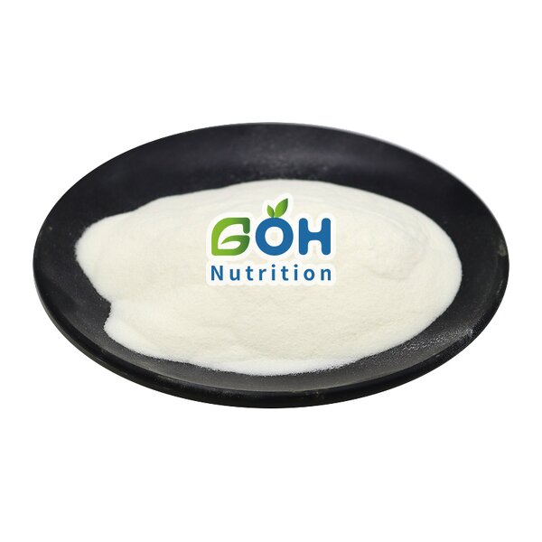 Bacillus Coagulans Powder Manufacturer - Probiotic Natural Bulk Food Grade