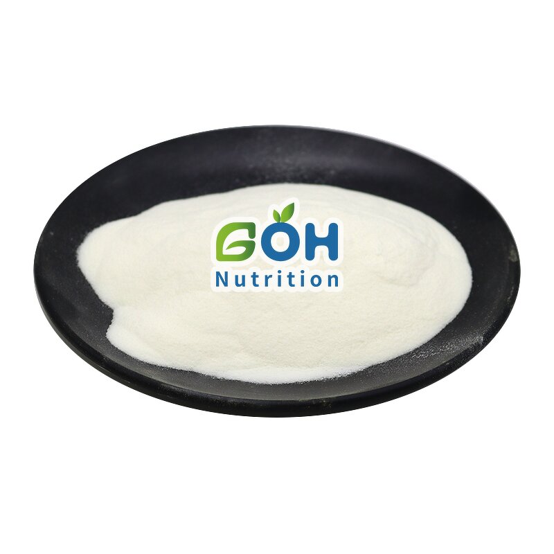 Bacillus Coagulans Powder Manufacturer - Probiotic Natural Bulk Food Grade