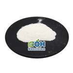 Lactobacillus Salivarius Powder Manufacturer - Extract Hot Selling Best Price