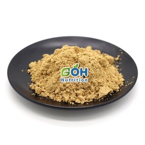 Enoki Mushroom Powder Manufacturer - Flammulina Velutipes Extract OEM Private Label GOH