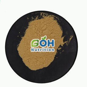 DEXTRANASE Powder Manufacturer - ≥25000 U/ml Food Grade High Quality GOH