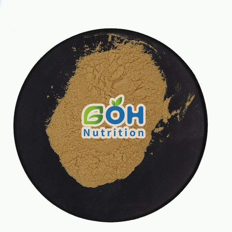 DEXTRANASE Powder Manufacturer - ≥25000 U/ml Food Grade High Quality GOH