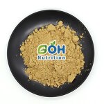 Mushroom Extract Powder