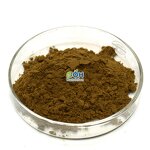 Turkesterone Powder Manufacturer - 10% Ajuga Turkestanica Extract Hot Selling Men's Supplement