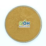 Chaga Mushroom Extract Manufacturer - Best Price Plant Extract GOH Supplement