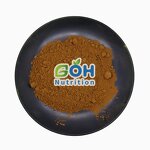 Armillaria Mellea Powder Manufacturer - Honey Mushroom Extract OEM Private Label GOH