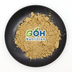Fungus Mushroom Extract Powder Manufacturer - Pure High Quality Price