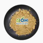 Sparassis Crispa Extract Powder Manufacturer - 10:1 OEM Private Label GOH