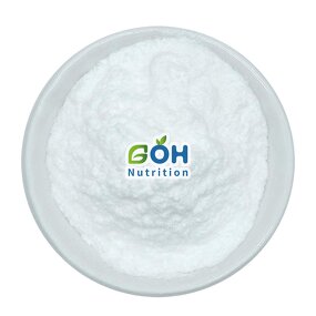Lactobacillus Helveticus Powder Manufacturer - 10B Probiotics Food/Feed Grade GOH Supply