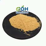 DEXTRANASE Powder Manufacturer - ≥25000 U/ml Food Grade High Quality GOH
