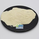 Alkaline Protease Powder Manufacturer - ≥200000 U/g High Quality Food Grade Enzyme