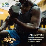 Men's Health Complex Capsules Manufacturer - 2in1 Fadogia Agrestis & Tongkat Ali OEM Private Label