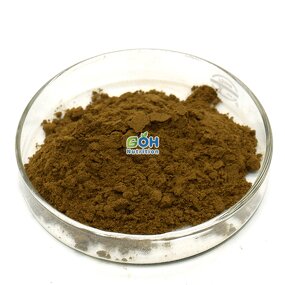 Turkesterone Powder Manufacturer - 10% Ajuga Turkestanica Extract Hot Selling Men's Supplement