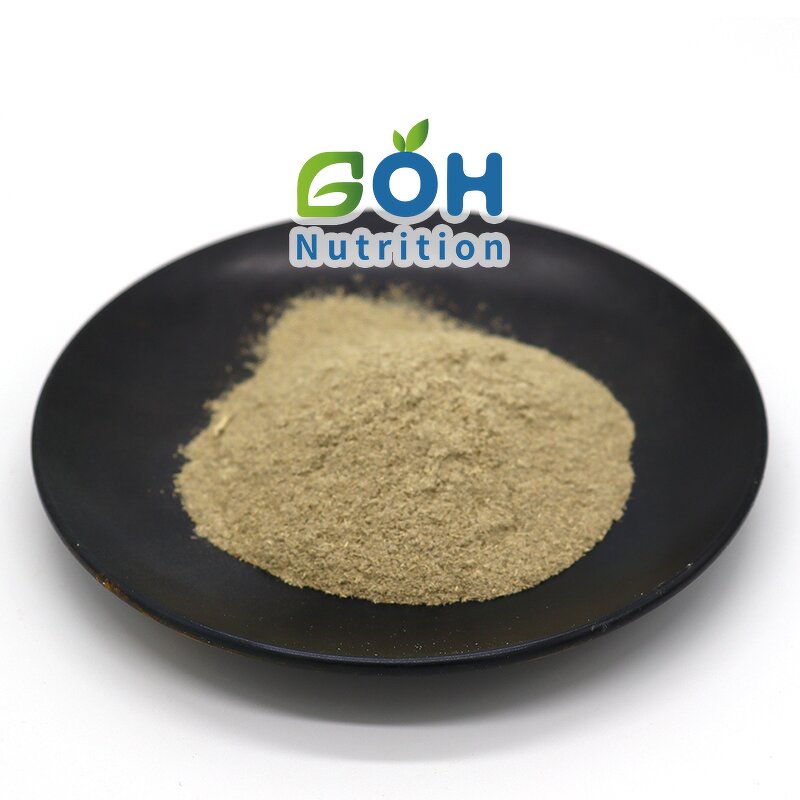 Ursolic Acid Extract Manufacturer - 90% Ursolic Acid Best Price