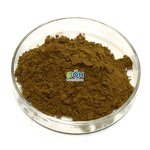 Turkesterone Powder Manufacturer - 10% Ajuga Turkestanica Extract Hot Selling Men's Supplement