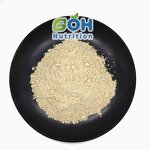 Tremella Fuciformis Powder Manufacturer - White Snow Fungus Extract Superfoods OEM Private Label GOH