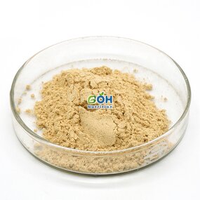 Neutral Protease Powder Manufacturer - 50000 U/g Food Grade High Quality CAS:9068-59-1