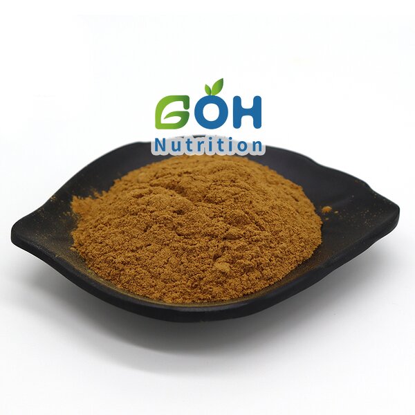 Silymarin Powder Manufacturer - 50% Liposome Food Grade High Quality GOH Supply