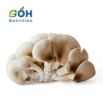 Oyster Mushroom Extract Powder Manufacturer - Dry High Quality GOH Supplement