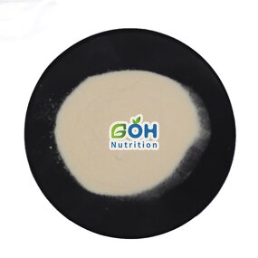Cheese Powder Manufacturer - Flavor Wholesale Bulk Food Additives