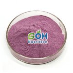 Acai Berry Fruit Powder Manufacturer - Spray Dried/Freeze Dried OEM Private Label GOH