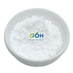 Xylanase Powder Manufacturer - 280,000 U/g Food-grade (XYS Type) Enzyme