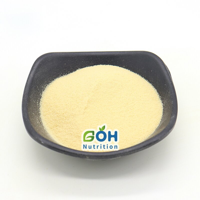 Zein Powder Manufacturer - 100% Pure Food Grade High Quality