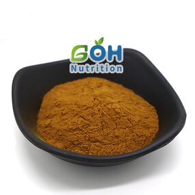 Bacillus Megaterium Powder Manufacturer - Extract High Quality Bulk