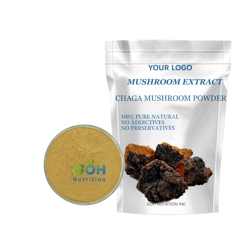 Chaga Mushroom Extract Manufacturer - Best Price Plant Extract GOH Supplement