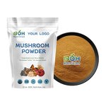 Maitake Powder Manufacturer - Organic Mushroom Extract Natural GOH Supplement