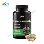 Fadogia Agrestis Capsules Manufacturer - 500mg Extract OEM Private Label