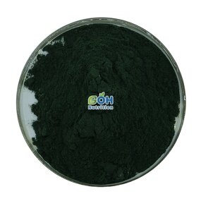 Sodium Copper Chlorophyllin Manufacturer - Chlorophyll Powder High Quality