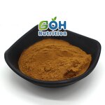 Ligusticum Wallichii Extract Manufacturer - High Quality Herb Plant