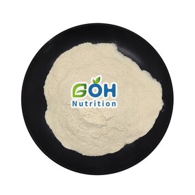 Beta-DEXTRANASE Powder Manufacturer - ≥140000 U/g High Activity GOH