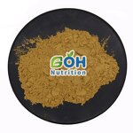 Saponin Powder Manufacturer - 40%-98% Best Price