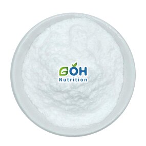 Lactobacillus Paracasei Powder Manufacturer - 10B Probiotics Food/Feed Grade GOH Supply