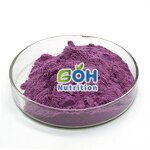 Blueberry Fruit Powder Manufacturer - Spray Dried/Freeze Dried OEM Private Label GOH