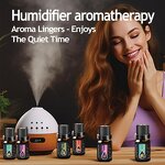 Aroma Diffuser Oil Manufacturer - 10ml Oil Soluble for Sleep Candle Bulk Gift Box