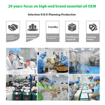 Essential Oil Set Manufacturer - Custom 4/6/8/10 Pack for Aromatherapy 10ml