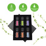 Essential Oil Manufacturer - Top Grade for Home Diffuser 4/6/8/10 Pack 10ml
